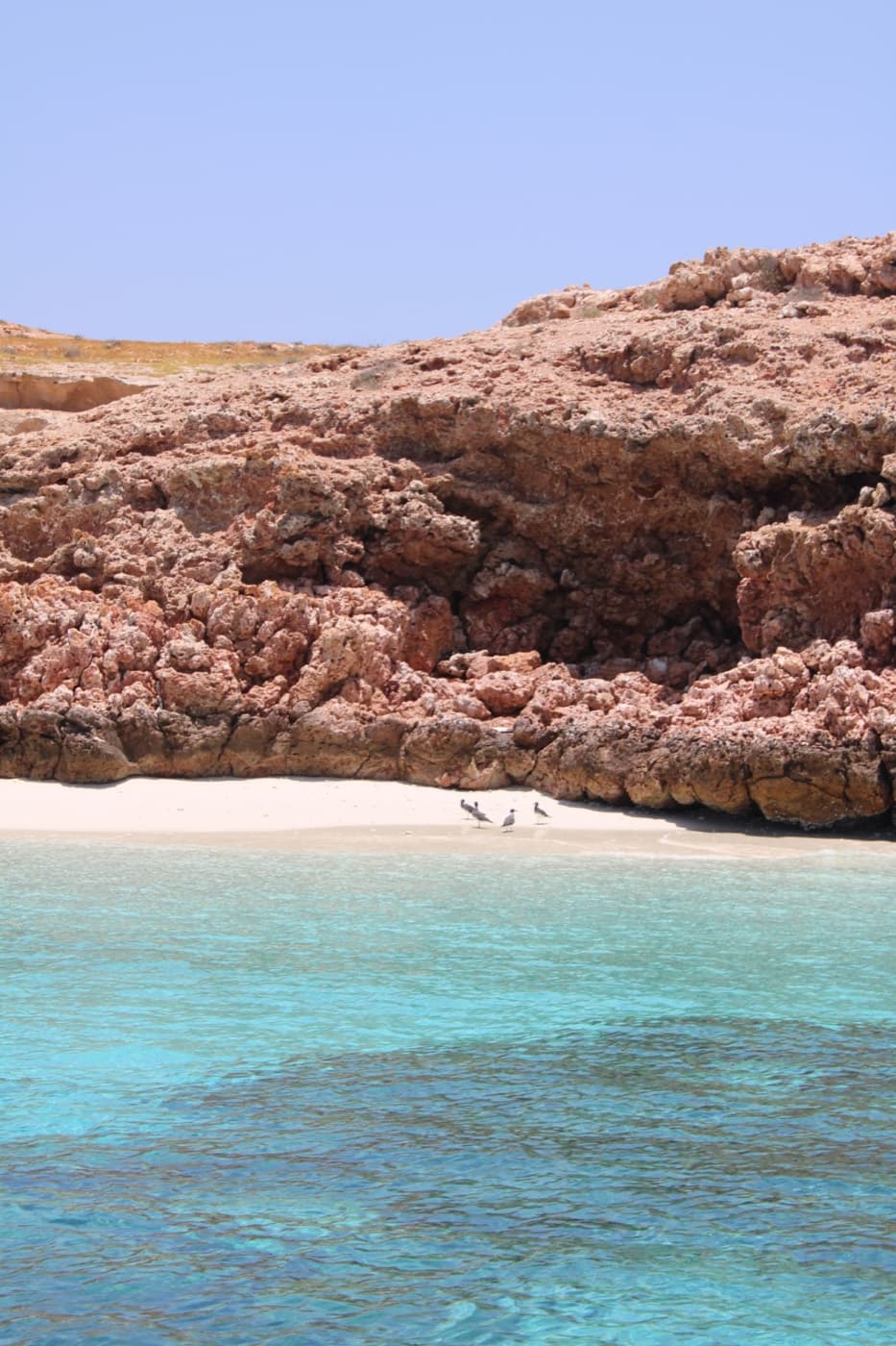 A secluded white-sand beach and cliffs on a Daymaniyat island, the setting for overnight camping
